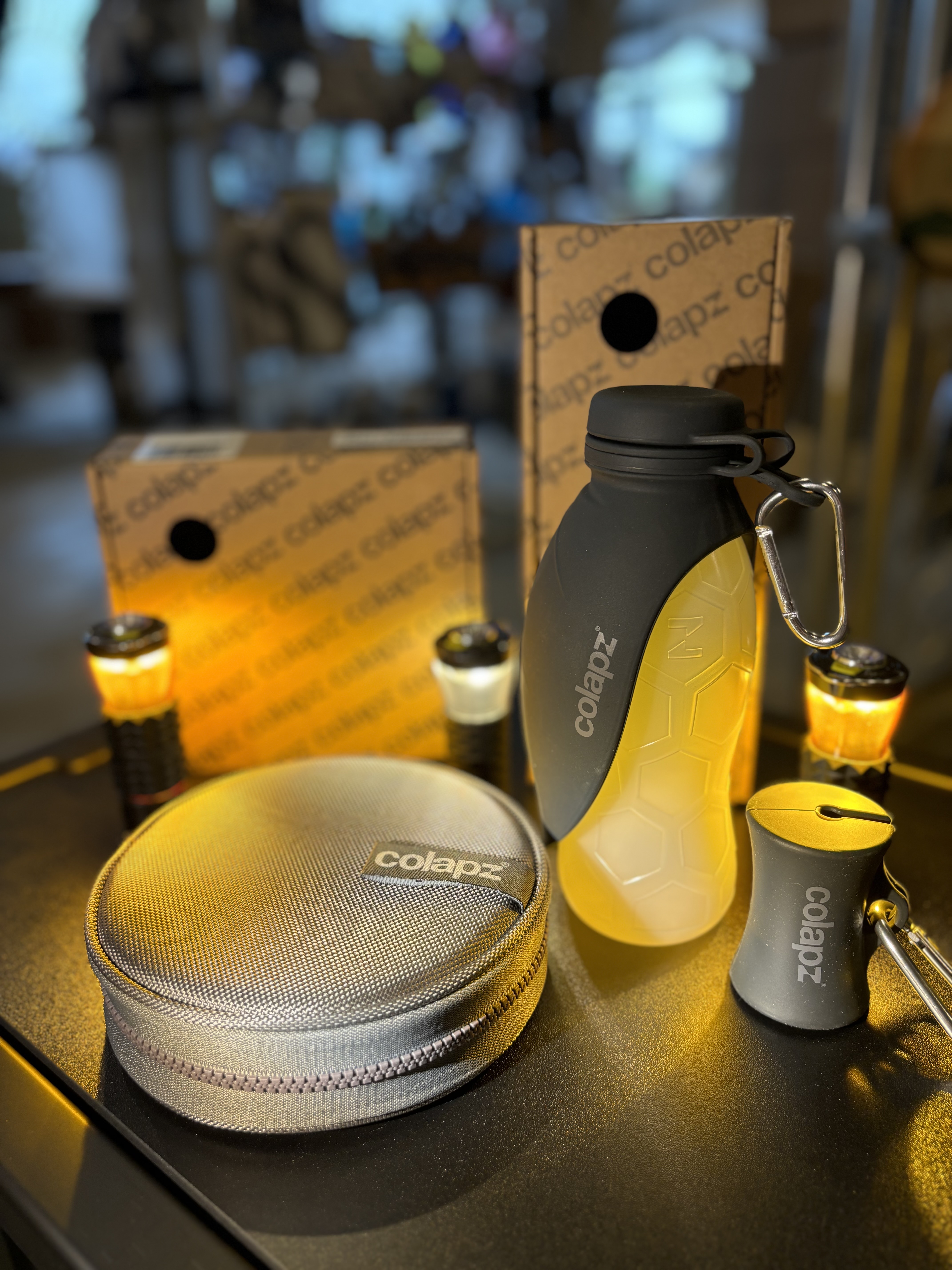 COLAPZ Collapsible Twin Dog Bowls