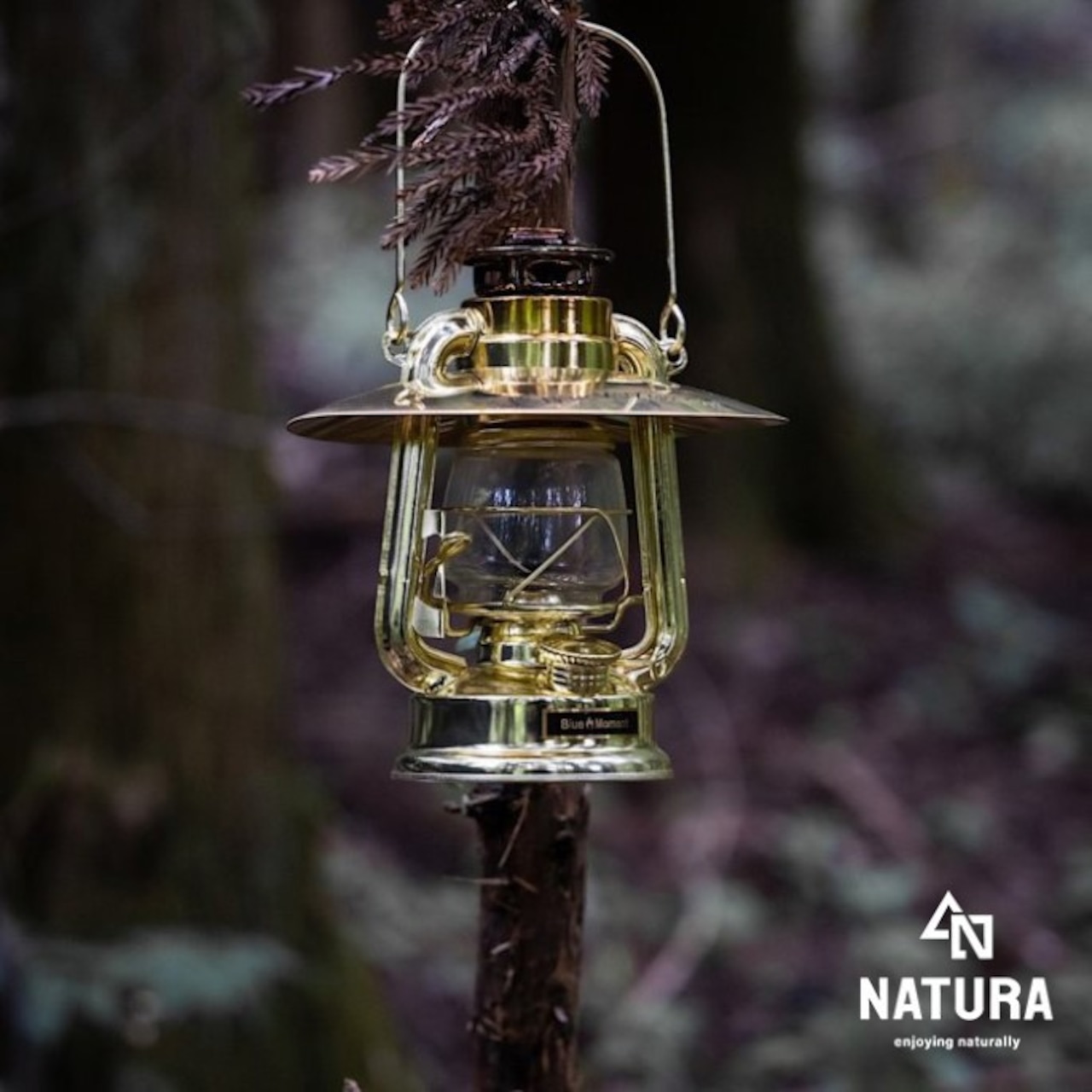 BlueMoment 野あかり 弟 シェード・ネームプレート